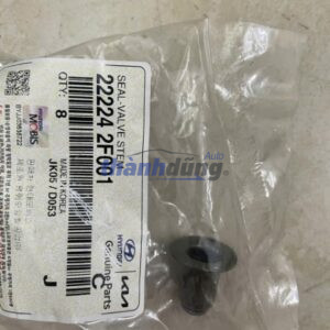 PHỚT GÍT HYUNDAI SANTAFE 2021 - 222242F001
