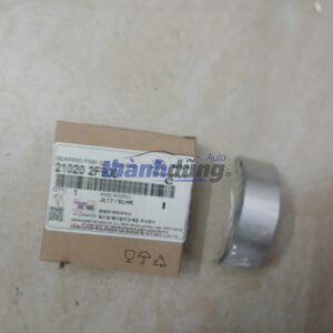 BẠC BALIE KIA SPORTAGE 2012 - 210202F900