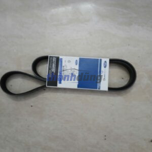 DÂY CUROA MÁY PHÁT XE FORD FOCUS 6PK1306 | AM556C301AA